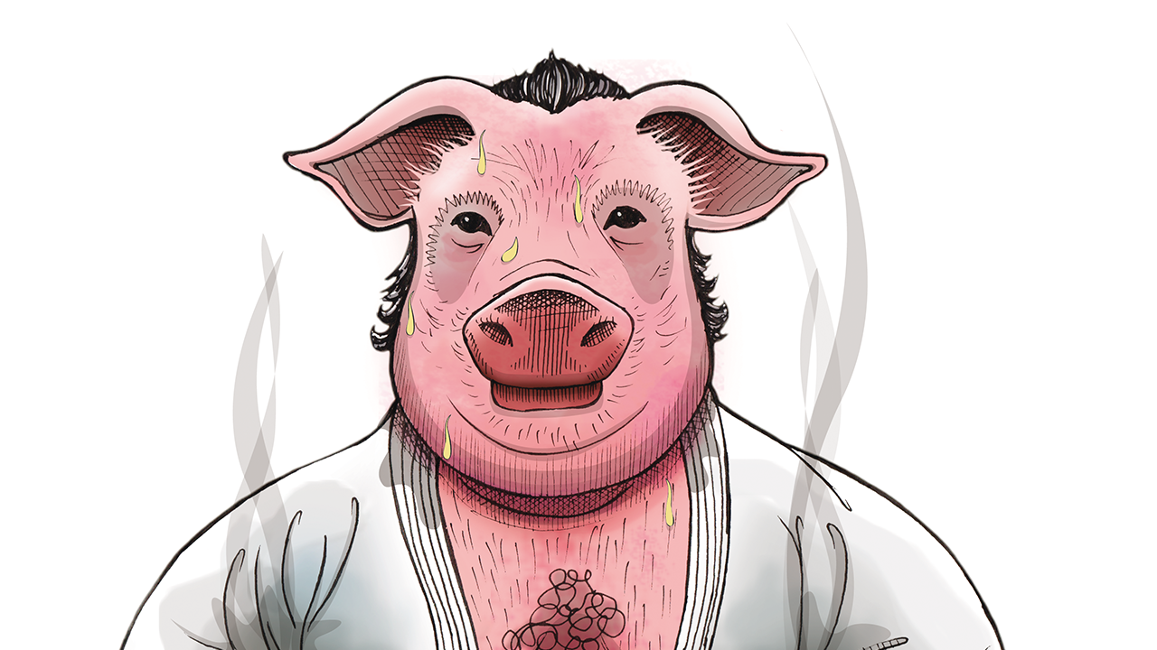 Ilustração - Porcão
